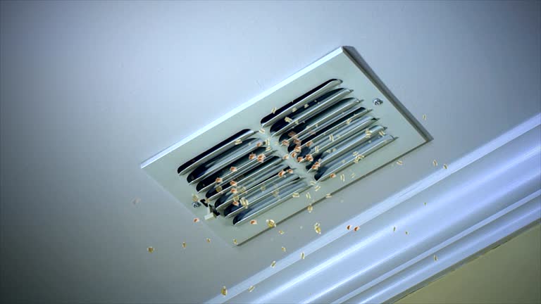 Best Professional Duct Cleaning Services  in Tekamah, NE